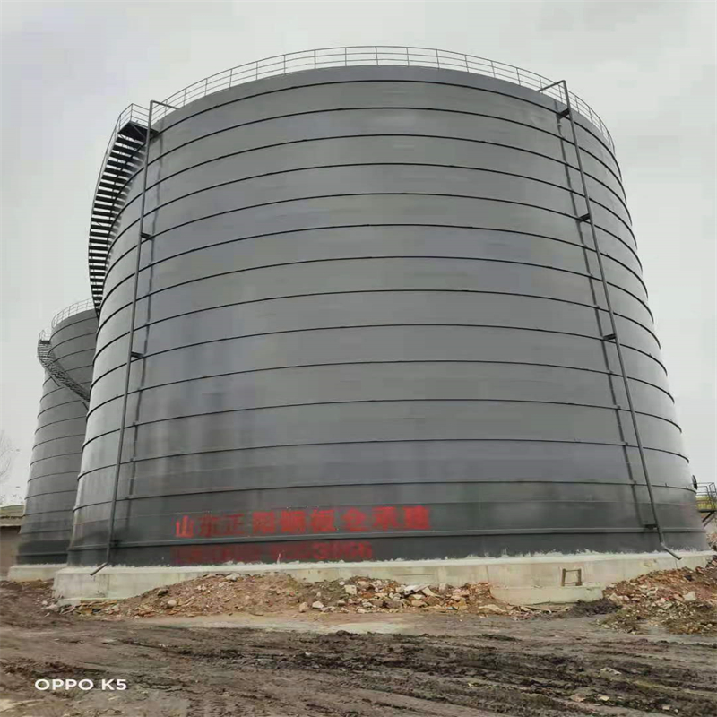 忻城3万吨大型钢板库